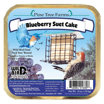 Suet - Blueberry Cake