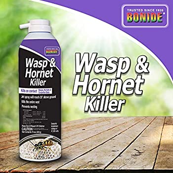 Bonide Wasp and Hornet Spray