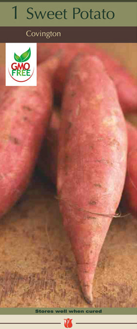 Potatoes 'Sweet Potato Covington'