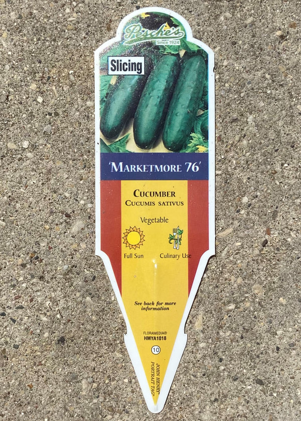 Cucumber 'Marketmore 76'