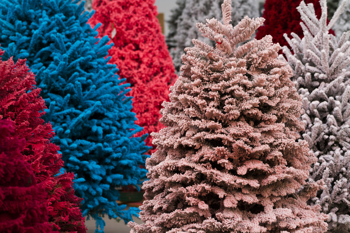 The Magic of Flocked Trees  Pesches Flowers & Garden Center