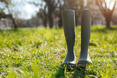 March Gardening