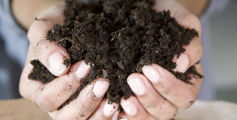 Less Toil with Good Soil - Healthy Soil Means Healthy Plants