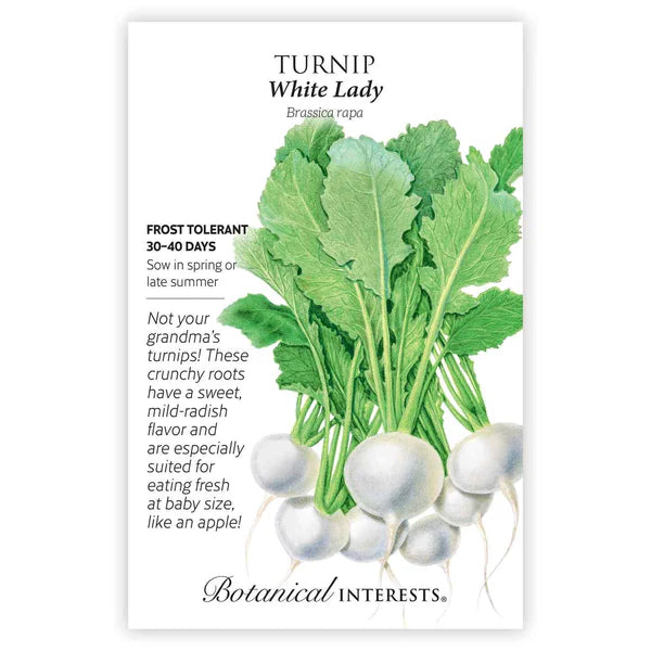 Turnip 'White Lady'