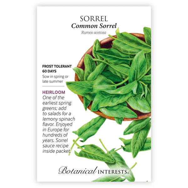 Sorrel 'Common'