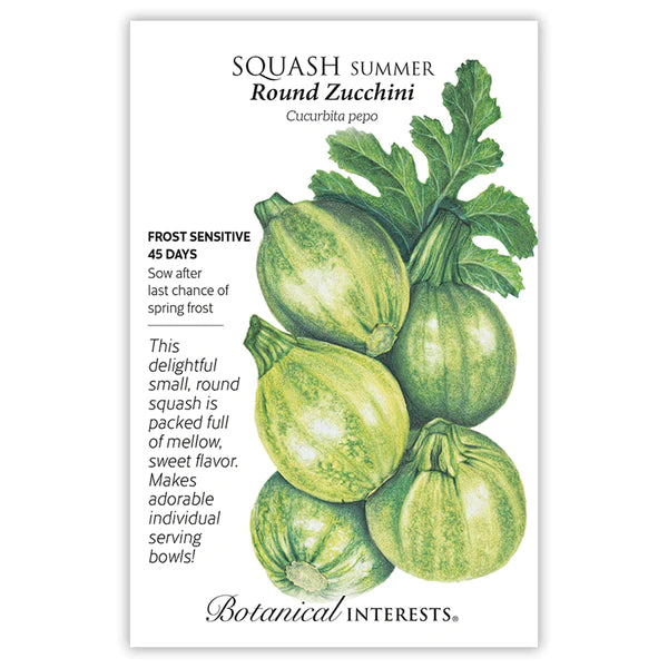 Squash Summer 'Round Zucchini'