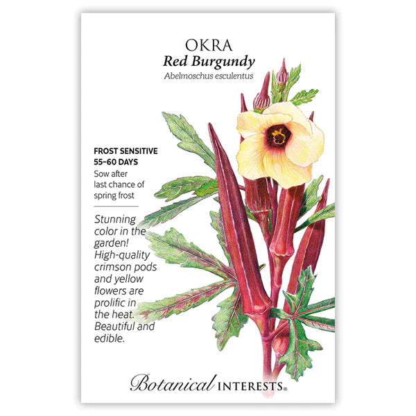 Okra 'Red Burgundy'