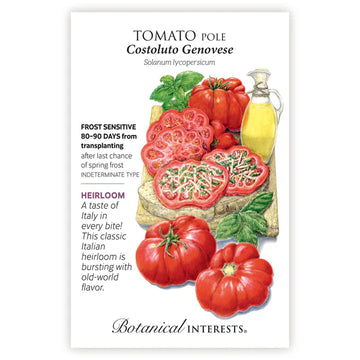 Tomato Pole 'Costoluto Genovese'