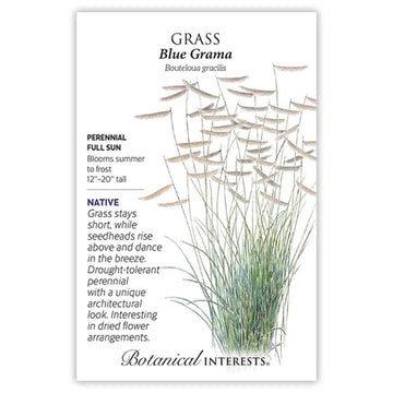 Grass 'Blue Grama'
