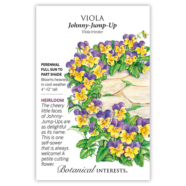 Viola 'Johnny-Jump-Up'