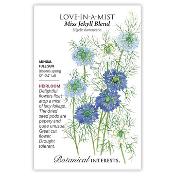 Love-in-a-Mist 'Miss Jekyll Blend'