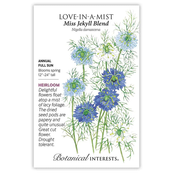 Love-in-a-Mist 'Miss Jekyll Blend'