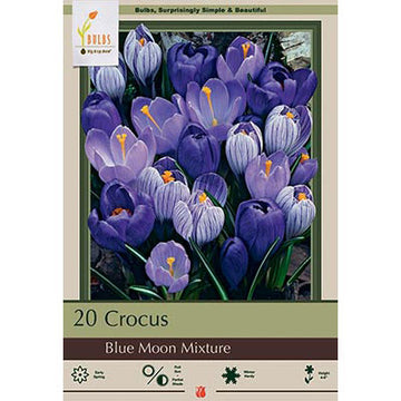 Crocus 'Blue Moon Moon Mix'