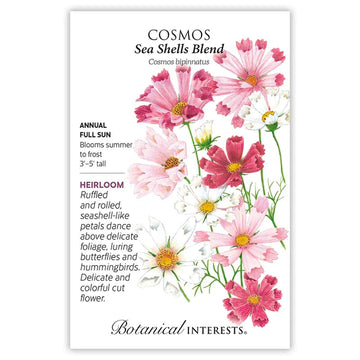 Cosmos 'Sea Shells Blend'