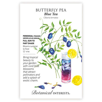 Butterfly Pea 'Blue Tea'