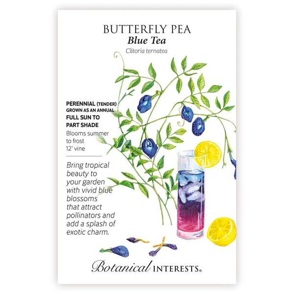 Butterfly Pea 'Blue Tea'