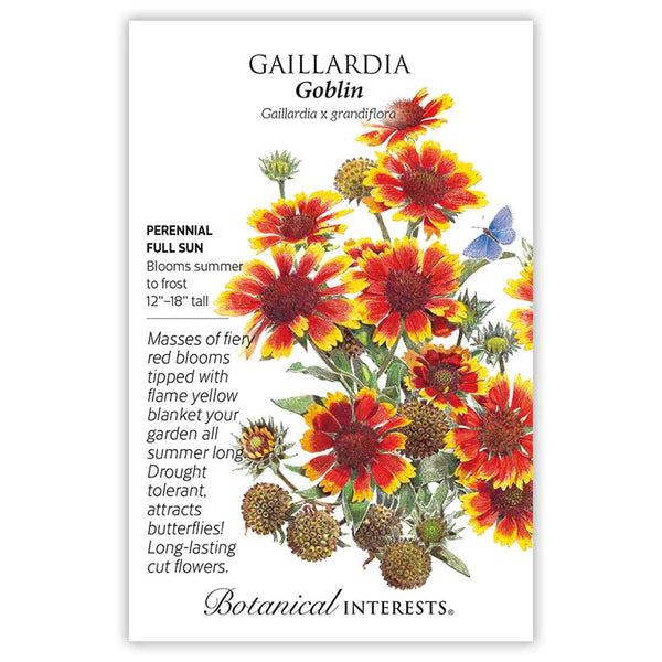 Gaillardia 'Goblin'