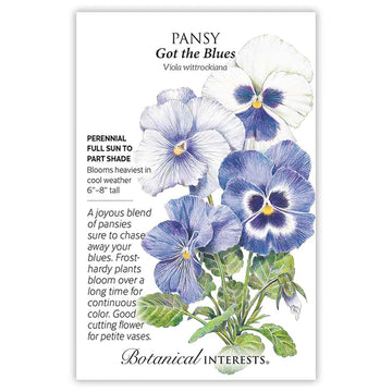 Pansy 'Got the Blues'