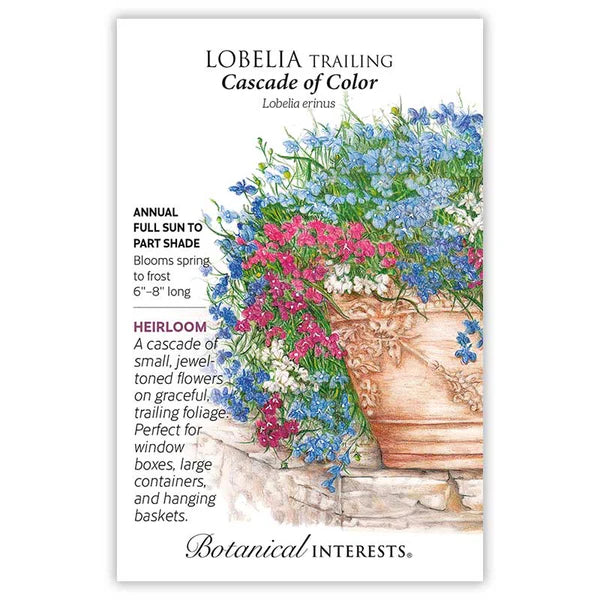 Lobelia 'Cascade of Color Trailing'
