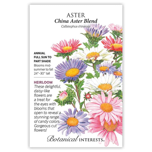 Aster 'China Aster Blend'