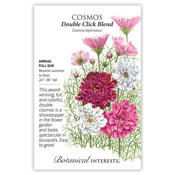 Cosmos 'Double Click Blend '