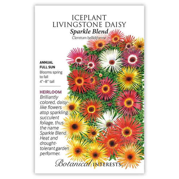 Iceplant Livingstone Daisy 'Sparkle Blend'