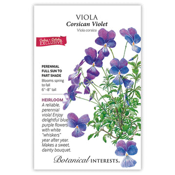 Viola 'Corsican Violet'