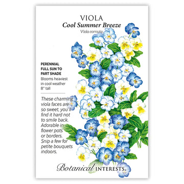 Viola 'Cool Summer Breeze'