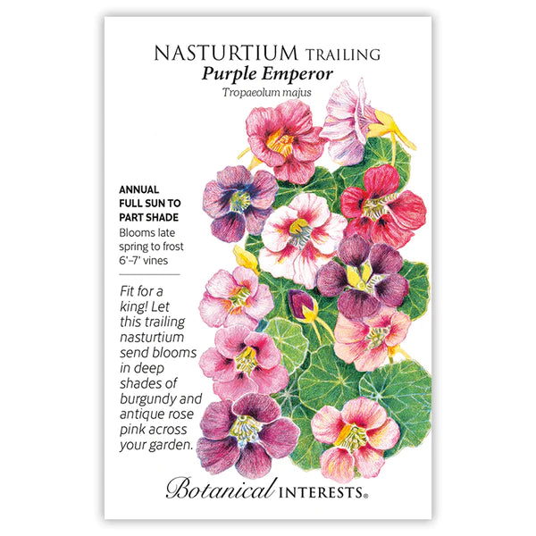 Nasturtium 'Purple Emperor Trailing'