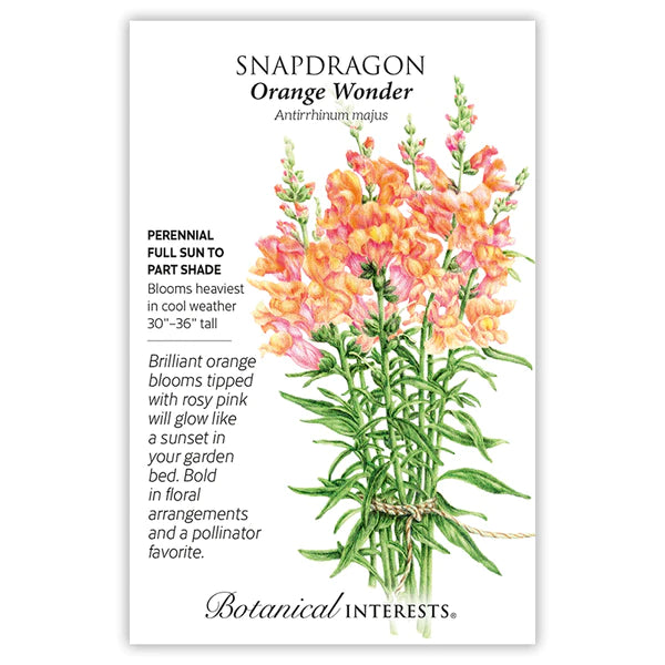 Snapdragon 'Orange Wonder'