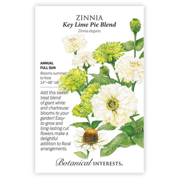 Zinnia 'Key Lime Blend'