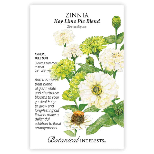 Zinnia 'Key Lime Blend'