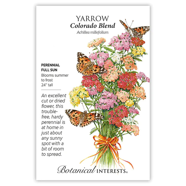 Yarrow 'Colorado Blend'