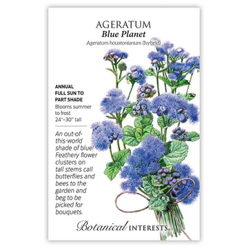 Ageratum 'Blue Planet'