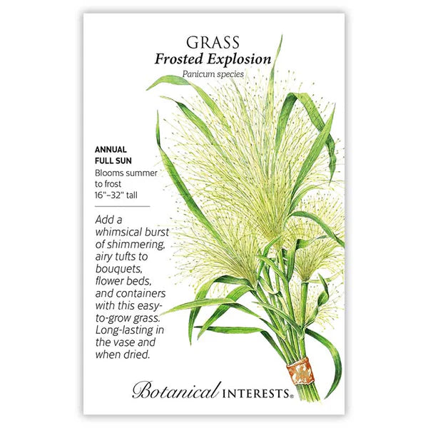Grass 'Frosted Explosion'