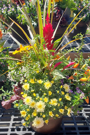 Fall Flower Custom Planters