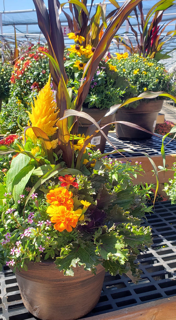 Fall Flower Custom Planters