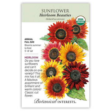 Sunflower 'Heirloom Beauties'