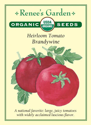 Tomato 'Brandywine Red'