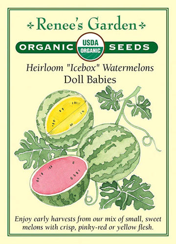 Watermelon 'Doll Babies'