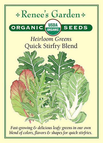 Lettuce 'Greens Quick Stir-fry Blend'