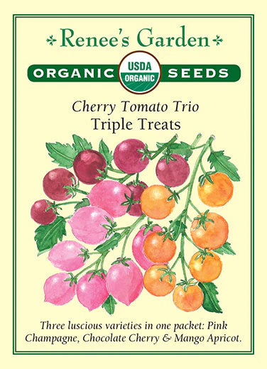 Tomato Cherry 'Triple Treats'