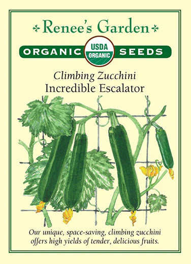 Squash 'Incredible Escalator' Climbing Zucchini