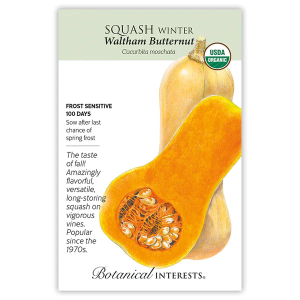 Squash Winter 'Waltham Butternut'