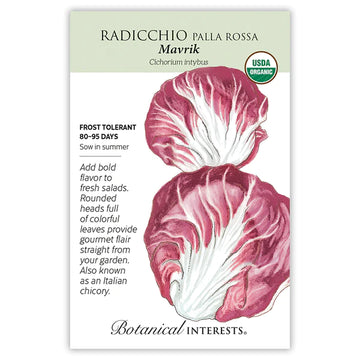 Radicchio 'Palla Rossa Mavrik'