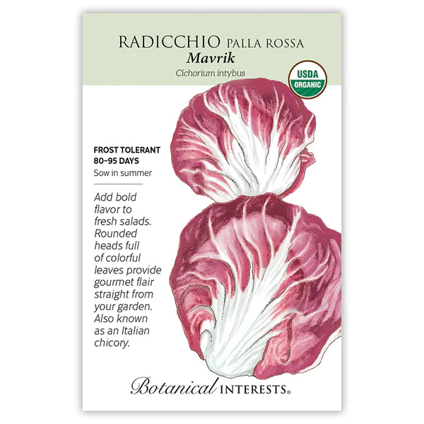 Radicchio 'Palla Rossa Mavrik'