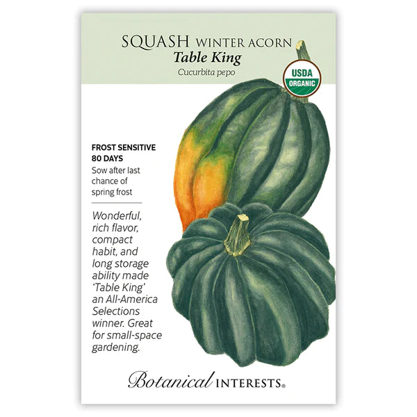 Squash Winter 'Table King Acorn'