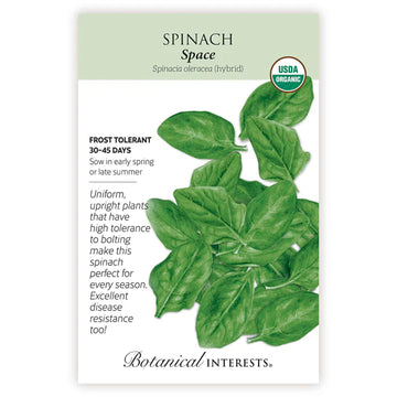 Spinach 'Space Hybrid'