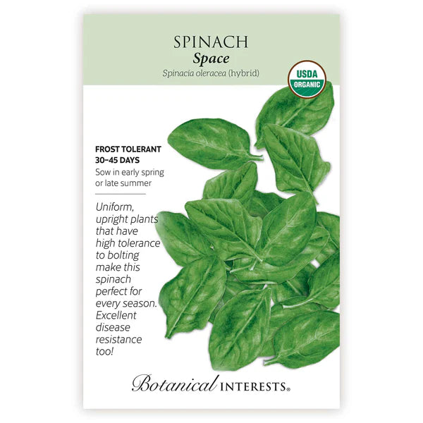 Spinach 'Space Hybrid'