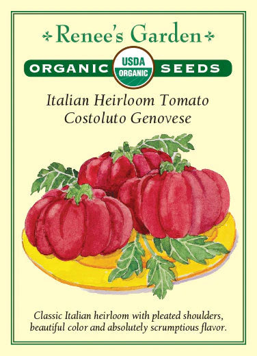 Tomato 'Costoluto Genovese'